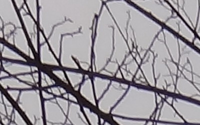 Sony Cyber-shot TX10: odolný zálesák