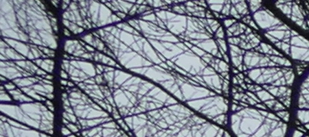 Panasonic Lumix FZ1000: legenda je zpátky