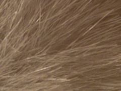 Nikon D3100: základ nabídky DSLR