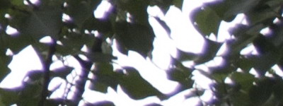 Nikon 18-55mm f/3,5-5,6G AF-S DX VR