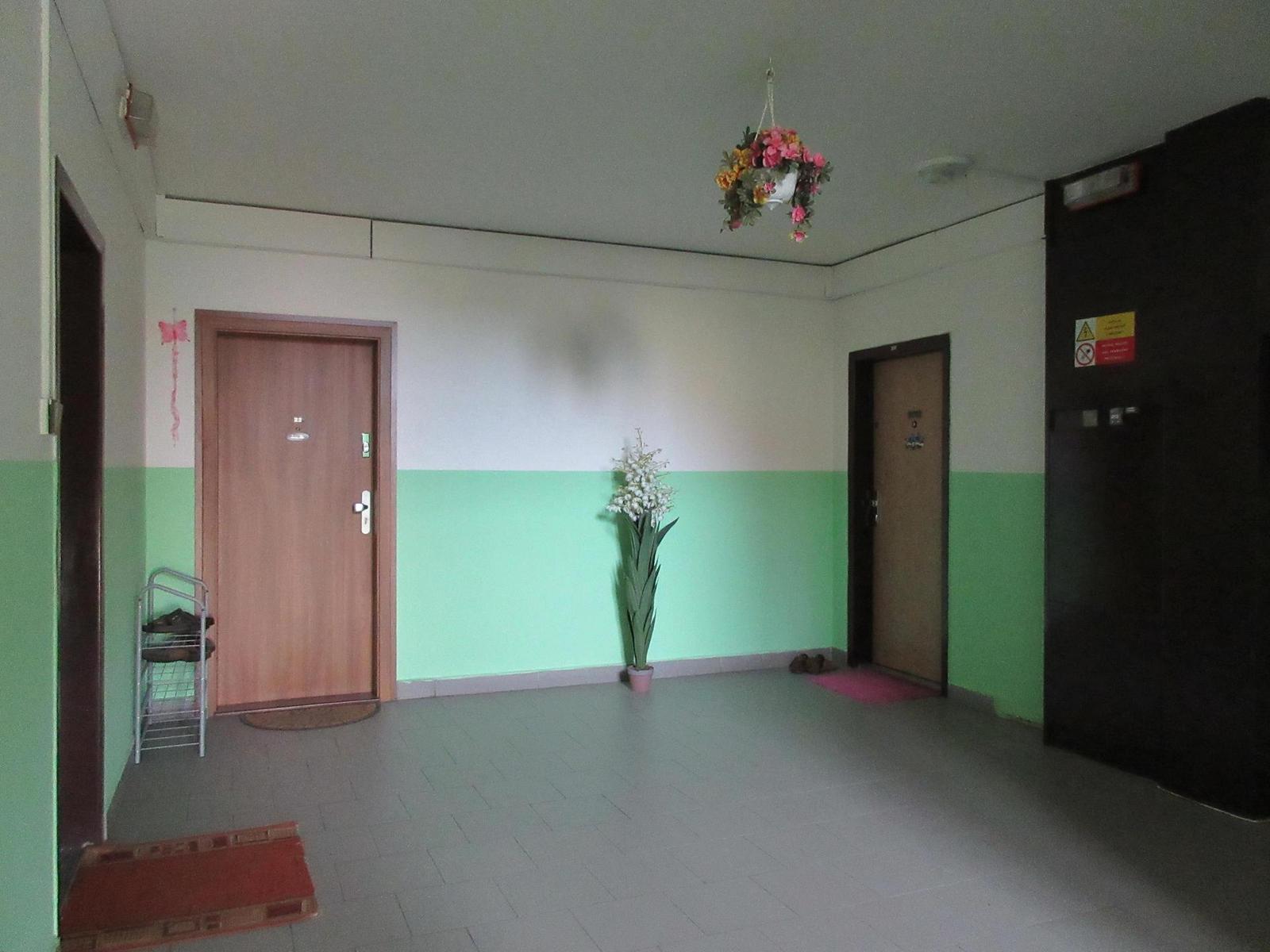 Canon IXUS 285 HS: kamarád do kabelky