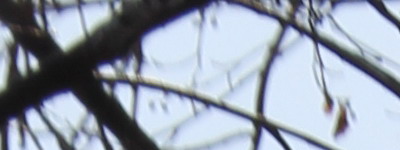 Megatest ultrazoomových objektivů