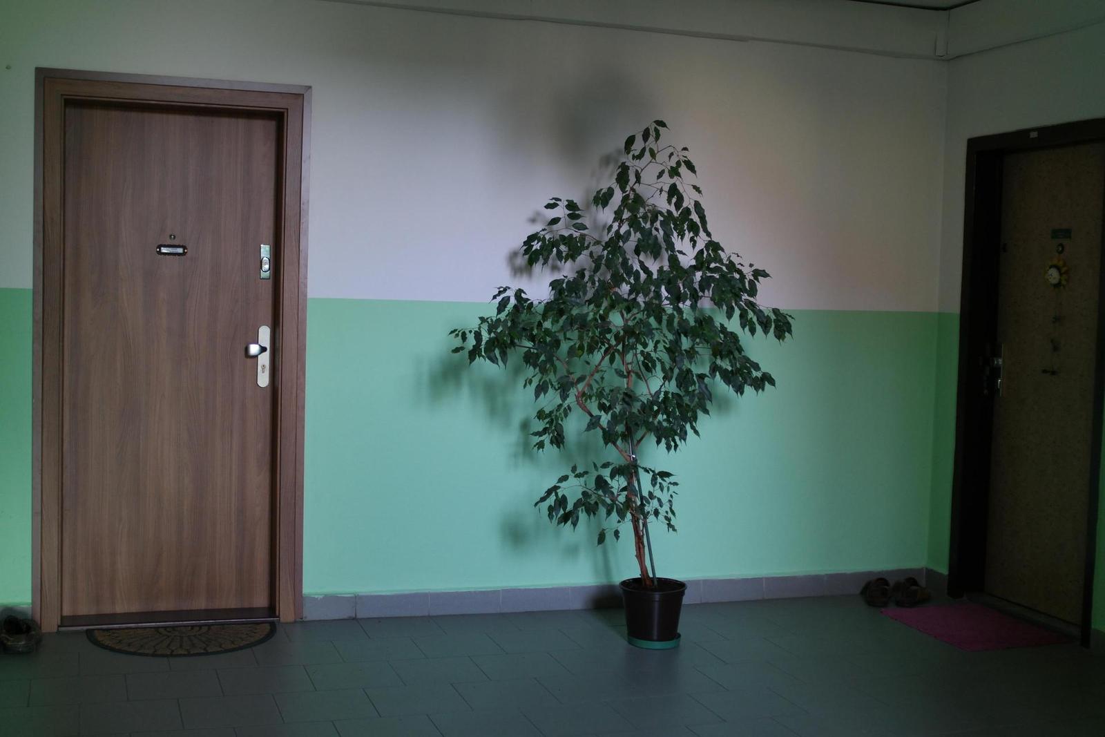 Olympus OM Zuiko 28mm f/2.8 (OM)