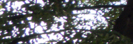 Panasonic Lumix FZ300: opět na špici