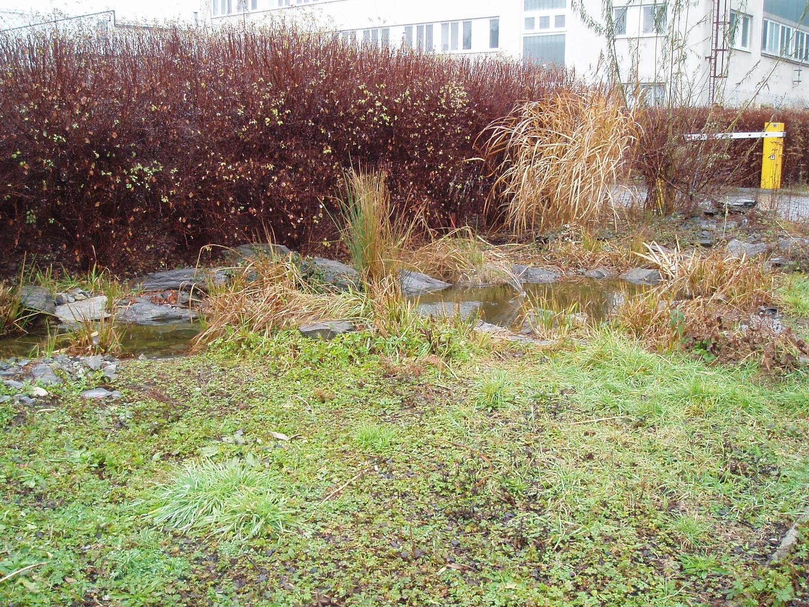 Olympus µ-mini Digital: Chci jen snímek vyfotit a jít!