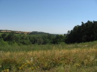 Canon PowerShot A540: Stříbrný šikula