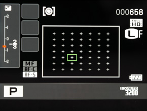 Fujifilm X-S1: jedinečný