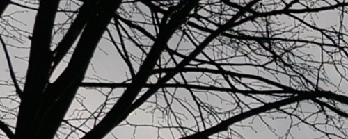 Panasonic Leica DG Vario-Summilux 10-25mm F1.7 ASPH.