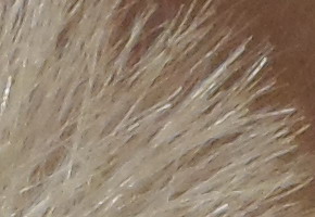 Samsung MV800: pro každý úhel i autoportréty