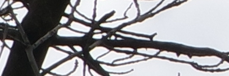 Samsung NX-M 9-27mm F3.5-5.6 OIS