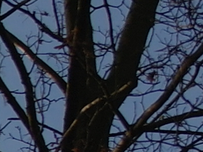 Samsung NX100: "zrcadlovka" do kapsy