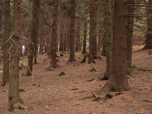 Olympus M.Zuiko Digital 14-150 mm F4-5,6