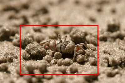 Fotoškola - 3.díl: Megapixely, DPI a JPEG