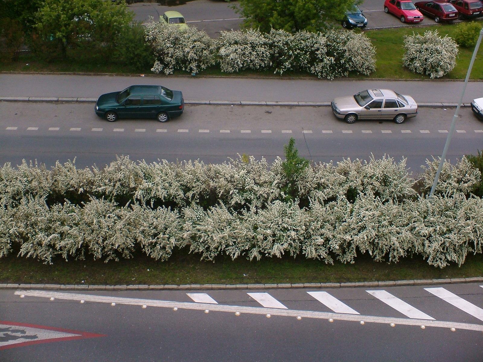 FinePix A120: třímegapixel pro digitální fotorozjezd