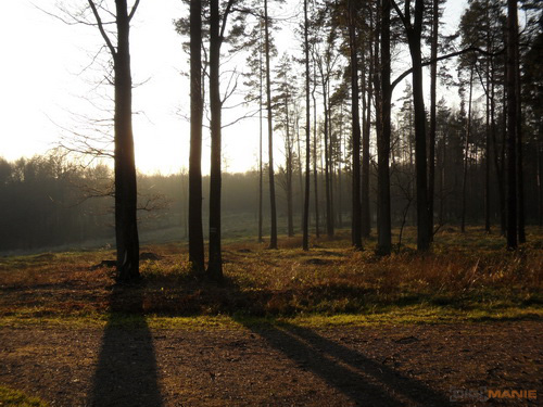 Samsung ST1000: nabitý technologiemi