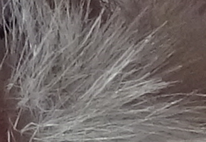 Sony Cyber-shot WX220: ostře nabitý drobek