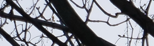 Panasonic Leica DG Vario-Elmarit 12-60mm / F2.8-4.0 ASPH. / Power O.I.S.