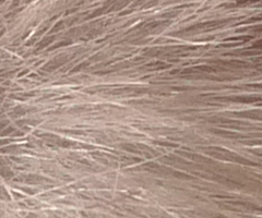 Panasonic Lumix LX3: nejtajnější přání vyslyšena