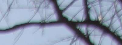 Megatest ultrazoomových objektivů