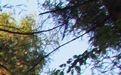 Olympus M.Zuiko Digital 14-150 mm F4-5,6