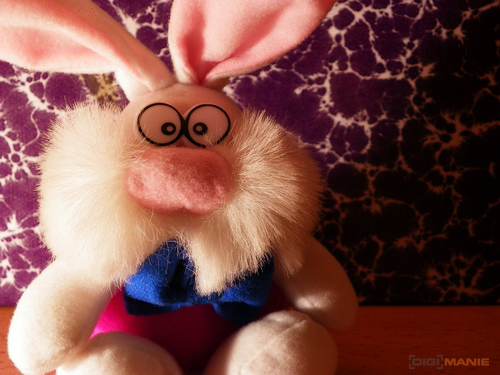 Pentax X70: neobyčejně univerzální kliďas