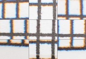 Canon EF 50mm f/1.4 USM