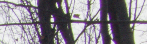 Xiaoyi 12-40mm 1:3.5-5.6