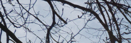 Panasonic Lumix LX100: pozoruhodný profi kompakt