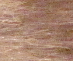 Canon PowerShot G10: stále mezi nejlepšími