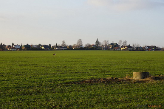 Sony SLT-A77: megapixelový přeborník