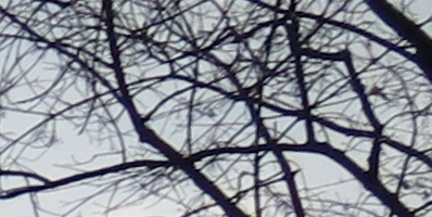 Canon PowerShot G15: lépe už to (asi) nepůjde