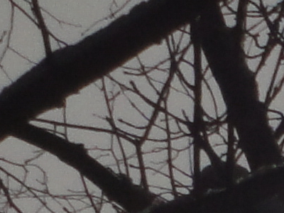 Sony Cyber-shot WX1: Vypilovaný drobek