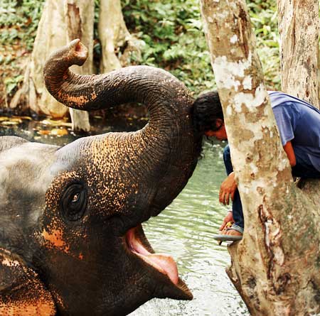 S fotoaparátem po Thajsku: I.