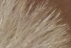 Samsung MV800: pro každý úhel i autoportréty