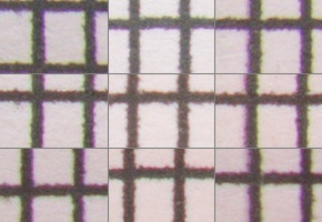 Nikon AF-P NIKKOR 18-55mm f/3.5-5.6G VR