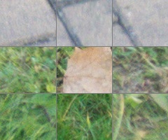 Panasonic Lumix FZ200: ultrazoomové překvapení roku