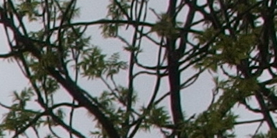 Olympus Stylus XZ-2: jednoduše skvělý