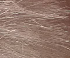 Panasonic Lumix LX3: nejtajnější přání vyslyšena