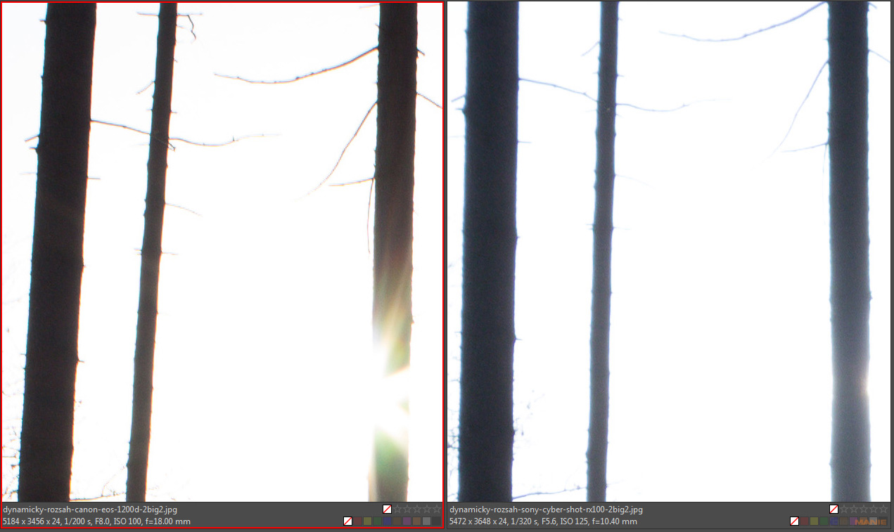 DSLR vs kompakt: Canon EOS 1200D s 18-55mm, Sony RX100