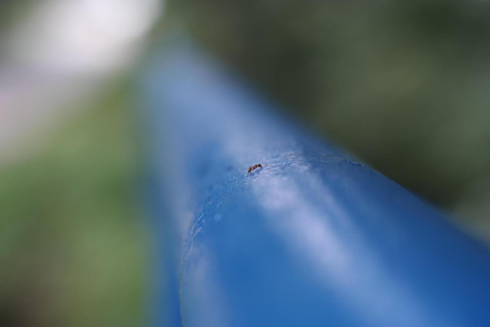 Olympus OM G.Zuiko 50mm f/1.4 "silver-nose"