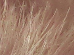 Casio EXILIM ZR100: kapesní formule