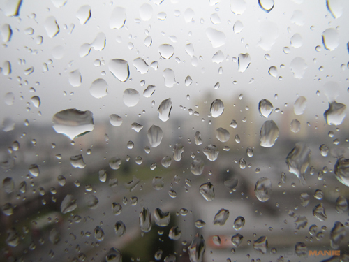 Canon PowerShot SX1 IS vs. SX10 IS: souboj CMOS a CCD