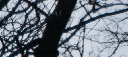 Nikon AF-S DX NIKKOR 16-85mm f/3.5-5.6G ED VR