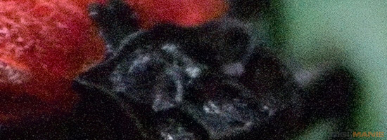 Zoner Photo Studio 16 PRO v testu