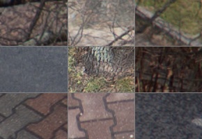 Panasonic Lumix S 50mm F1.8