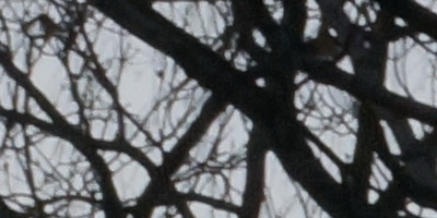 Sony DT 16-50mm F2.8 SSM