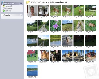 Fotoalbum na webu snadno, rychle a zadarmo