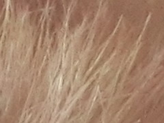 Casio EXILIM ZR100: kapesní formule