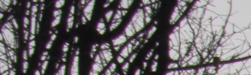 Xiaoyi 12-40mm 1:3.5-5.6