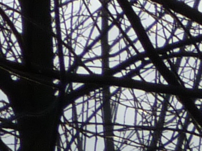 Panasonic Lumix FZ45 a FZ100: na vrcholu